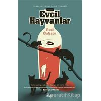 Evcil Hayvanlar - Bragi Olafsson - Zeplin Kitap