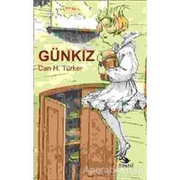 Günkız - Can H. Türker - Ebabil Yayınları