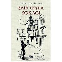 Şair Leyla Sokağı - Cevat Galip Tan - Gece Kitaplığı