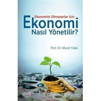 Ekonomist Olmayanlar İçin Ekonomi Nasıl Yönetilir? - Murat Yülek - Ceres Yayınları
