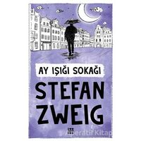 Ay Işığı Sokağı - Stefan Zweig - Dokuz Yayınları