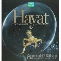 Hayat - Martha Holmes - Boyut Yayın Grubu