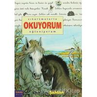 Çıkartmalarla Okuyorum Eğleniyorum -Küçük Tay Şahlan - Delphine Lacharron - Kaknüs Yayınları