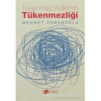 Tükenmez Kalemin Tükenmezliği - Mehmet Dumanoğlu - Berikan Yayınevi
