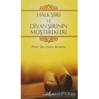 Halk Şiiri ve Divan Şiirinin Müşterekleri - Cemal Kurnaz - Berikan Yayınevi