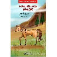 Topal Bir Atın Günlüğü - Aydoğan Yavaşlı - Bulut Yayınları