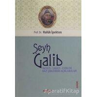 Şeyh Galib Hayatı, Sanatı, Eserleri, Edebi Kişiliği ve Bazı Şiirlerinin Açıklamaları
