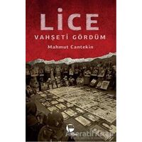 Lice - Mahmut Cantekin - Belge Yayınları