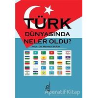 Türk Dünyasında Neler Oldu? - Mehmet Saray - Boğaziçi Yayınları