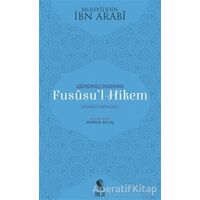 Günümüz İnsanına Fususu’l-Hikem - Muhyiddin İbn Arabi - İnsan Yayınları