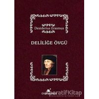 Deliliğe Övgü - Desiderius Erasmus - Öteki Yayınevi
