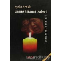 Anımsamanın Zaferi - Aydın Öztürk - Berfin Yayınları