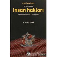 AB Sürecinde Belgelerle İnsan Hakları - Etem Levent - Arı Sanat Yayınevi