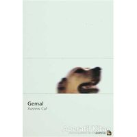 Gemal - Xusrew Caf - Avesta Yayınları