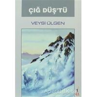 Çığ Düş’tü - Veysi Ülgen - El Yayınları