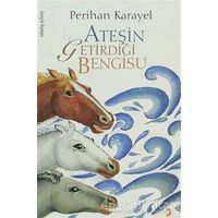 Ateşin Getirdiği Bengisu - Perihan Karayel - Cinius Yayınları