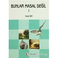 Bunlar Masal Değil 1 - Serpil Şen - ODTÜ Geliştirme Vakfı Yayıncılık