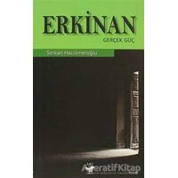 Erkinan - Serkan Hacıömeroğlu - Arı Sanat Yayınevi
