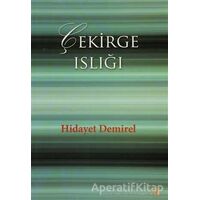 Çekirge Islığı - Hidayet Demirel - Cinius Yayınları