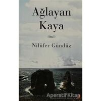Ağlayan Kaya - Nilüfer Gündüz - Cinius Yayınları
