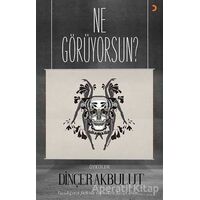 Ne Görüyorsun? - Dinçer Akbulut - Cinius Yayınları
