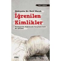 Edebiyatta Bir Motif Olarak İğrenilen Kimlikler - İnci Aras - Çizgi Kitabevi Yayınları