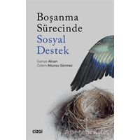 Boşanma Sürecinde Sosyal Destek - Özlem Altunsu Sönmez - Çizgi Kitabevi Yayınları