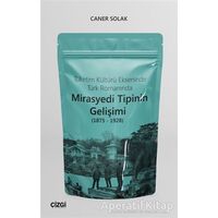 Tüketim Kültürü Ekseninde Türk Romanında Mirasyedi Tipinin Gelişimi (1875 - 1928)