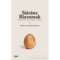 Şairane Barınmak (Klasik Şiirimizin Kökleri ve İzleri)