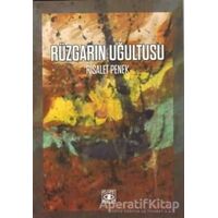 Rüzgarın Uğultusu - Risalet Penek - Aşiyan Yayınları