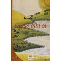 Güneş Gibi Ol - Mevlana Celaleddin Rumi - Gelenek Yayıncılık
