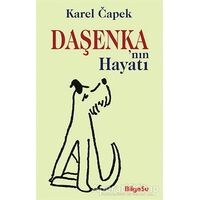 Daşenkanın Hayatı - Karel Capek - BilgeSu Yayıncılık