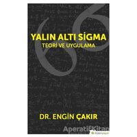Yalın Altı Sigma - Engin Çakır - Hiperlink Yayınları