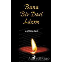Bana Bir Dost Lazım - Mustafa Ağır - Arı Sanat Yayınevi