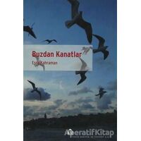 Buzdan Kanatlar - Esra Kahraman - Alan Yayıncılık