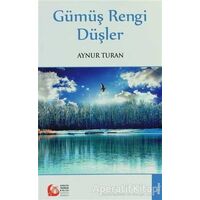 Gümüş Rengi Düşler - Aynur Turan - Bengü Yayınları