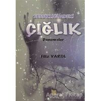 Sessizliğimdeki Çığlık - Filiz Varol - Baygenç Yayıncılık