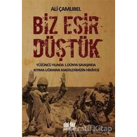 Biz Esir Düştük - Ali Çamlıbel - Akıl Fikir Yayınları