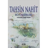 Tahsin Nahit Bütün Şiirleri - Ahmet Koçak - Akıl Fikir Yayınları
