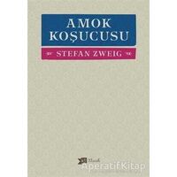 Amok Koşucusu - Stefan Zweig - Altıkırkbeş Yayınları