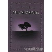 Yurtsuz Sevda - Cafer Yıldırım - Babıali Kitaplığı