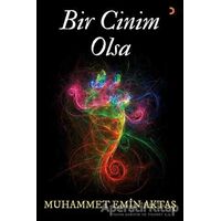 Bir Cinim Olsa - Muhammet Emin Aktaş - Cinius Yayınları