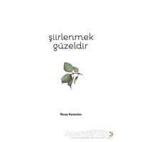 Şiirlenmek Güzeldir - Recep Karaaslan - Cinius Yayınları