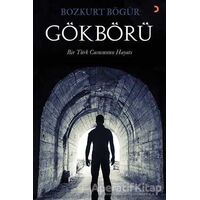 Gökbörü - Bozkurt Bögür - Cinius Yayınları