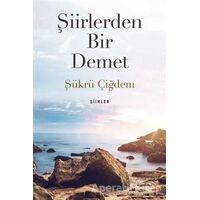 Şiirlerden Bir Demet - Şükrü Çiğdem - Cinius Yayınları