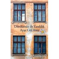 Dördümüz de Yanıldık - Ayşegül Ateş - Cinius Yayınları
