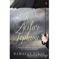 İç Acılar Toplamı - Ramazan Özkul - Cinius Yayınları