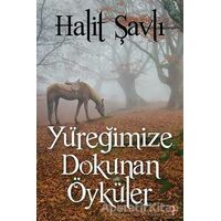 Yüreğimize Dokunan Öyküler - Halit Şavlı - Cinius Yayınları