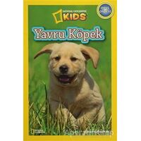 Yavru Köpek - Susan B. Neuman - Beta Kids