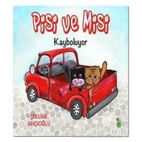 Pisi ve Misi Kayboluyor - Şirvan Ahçıoğlu - Yeşil Dinozor